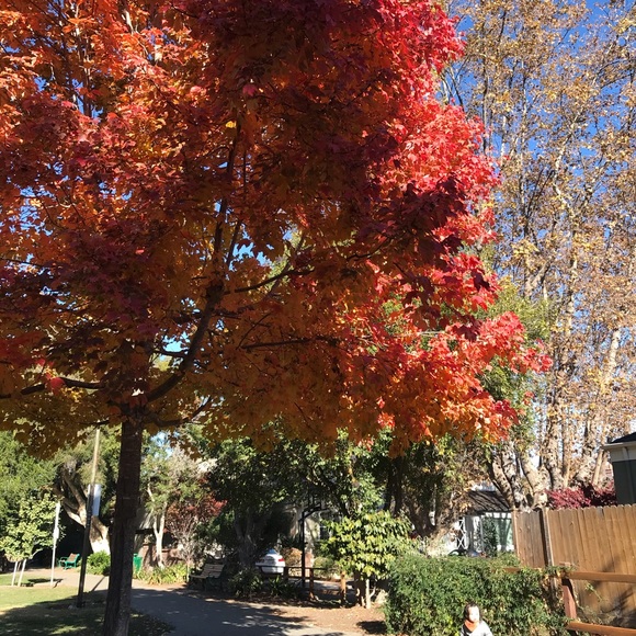 Meet your Posher, Joanne - Picture 1 of 1